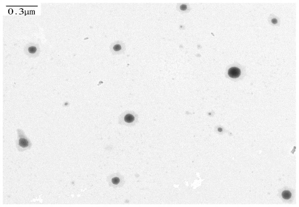 A preparation method and application of disulfiram-loaded nanoemulsion in-situ gel