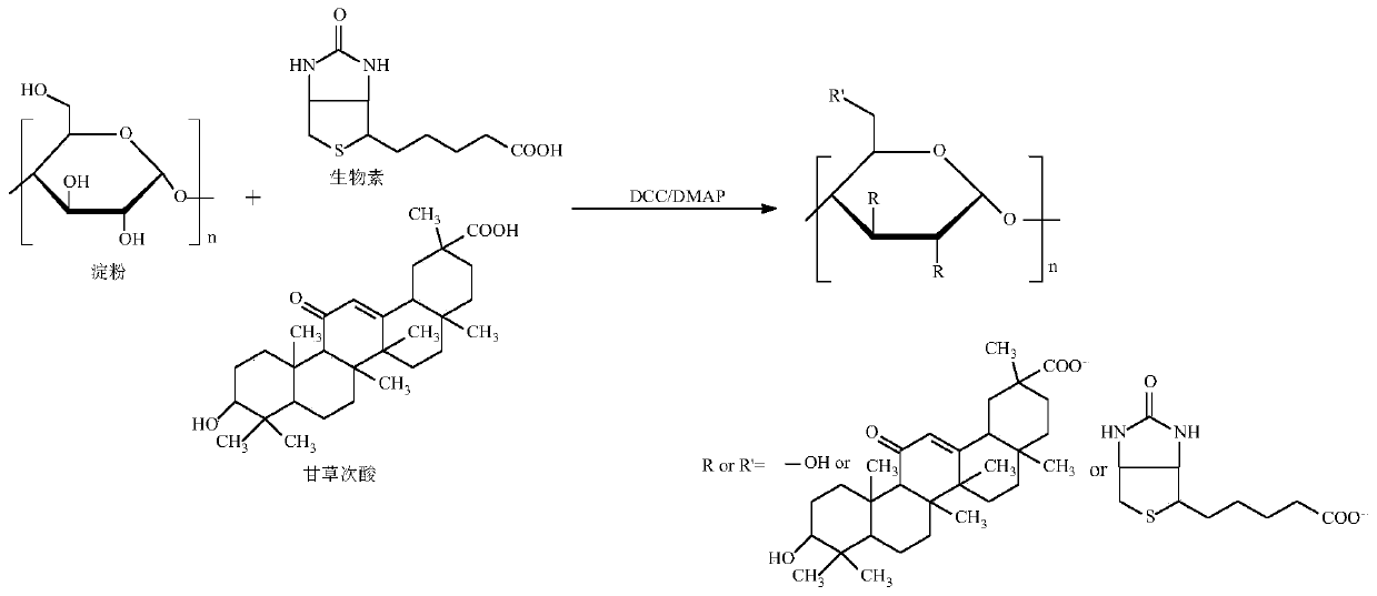 A nano-targeted drug carrier, preparation method and application thereof