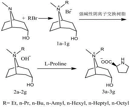 Method for preparing novel tropenol amino acid anionic chiral ionic liquid, immobilization method thereof and method for resolving DL-phenylalanine and DL-tryptophan by using same