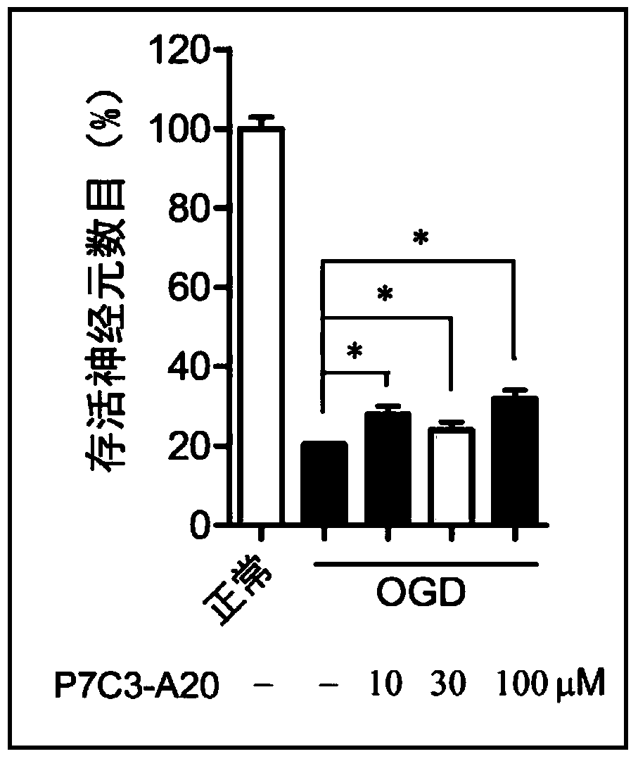 Application of compound p7c3‑a20 in the preparation of drugs for treating cerebral ischemic diseases