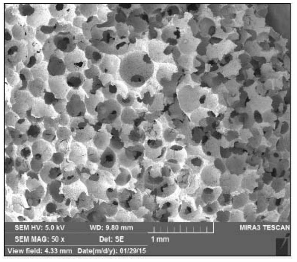 Porous bioceramic support and preparation method thereof