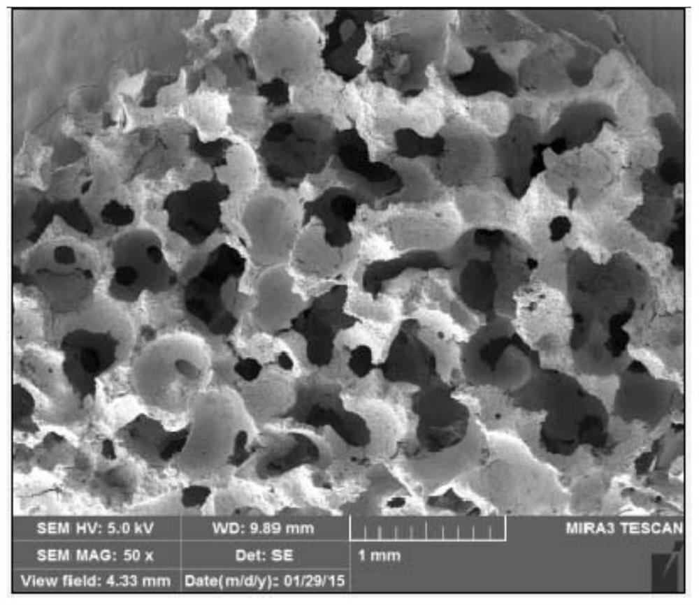 Porous bioceramic support and preparation method thereof