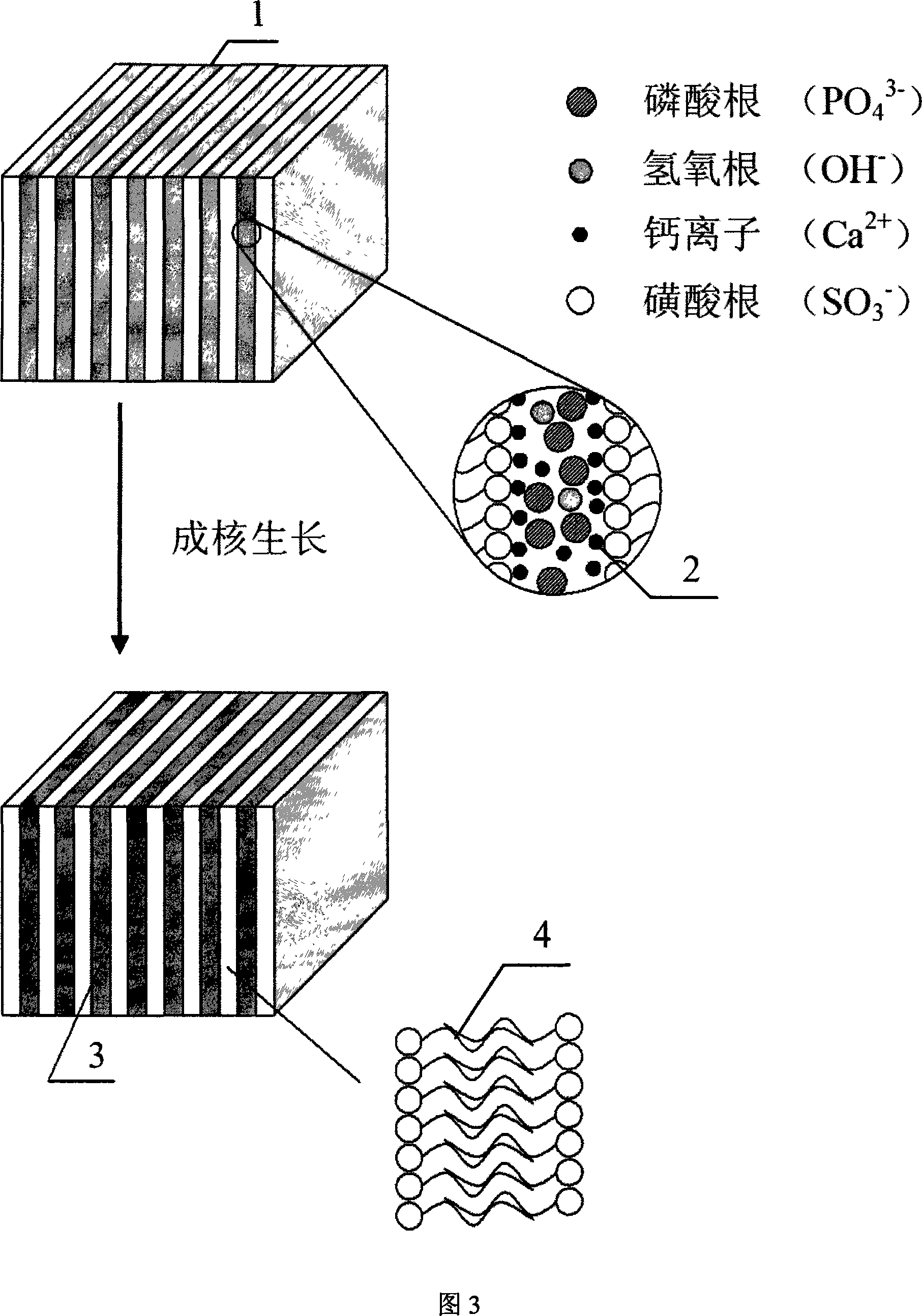 Method of preparing ordered nano hydroxyl apatite polycrystal powder