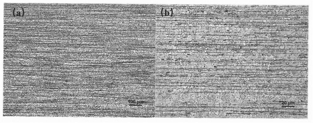 Magnesium alloy with excellent room temperature plasticity and preparation method thereof