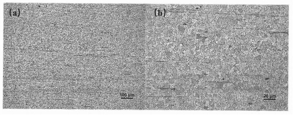 Magnesium alloy with excellent room temperature plasticity and preparation method thereof