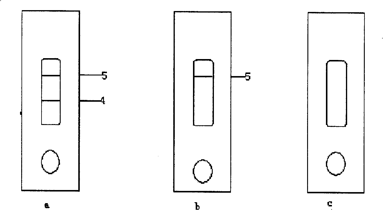 Homo-type cysteine immunity colloidal gold detecting test paper and method for producing the same