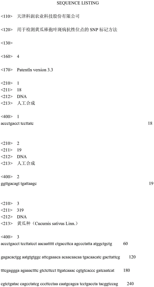 SNP (single-nucleotide polymorphism) marker method for detecting cucumber Corynespora-cassiicola-resistant site