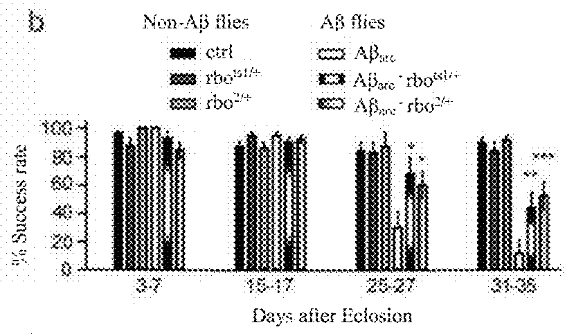 Method For Screening Drug And Therapeutic Targets Used For Treating Alzheimer's Disease