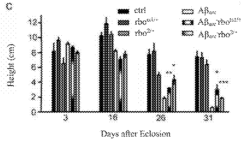 Method For Screening Drug And Therapeutic Targets Used For Treating Alzheimer's Disease