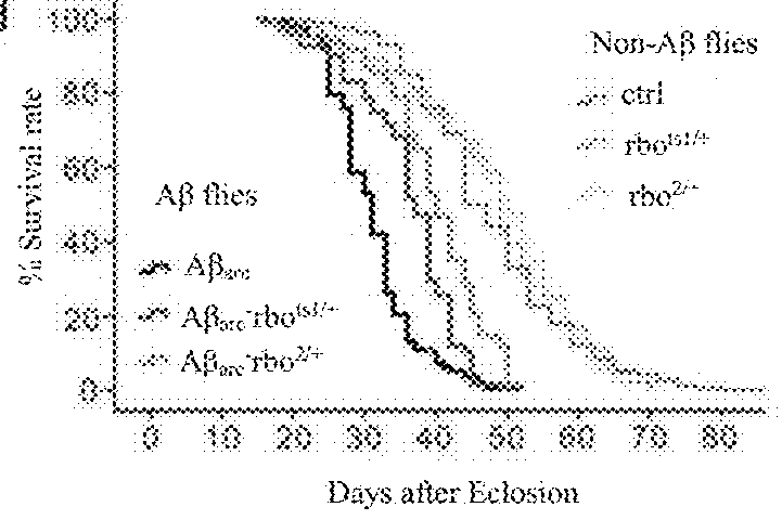 Method For Screening Drug And Therapeutic Targets Used For Treating Alzheimer's Disease