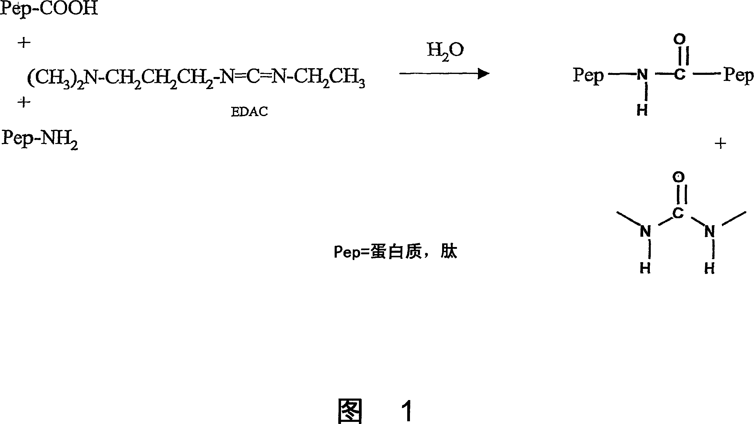 Anticariogenic proteins and peptides and saccharides