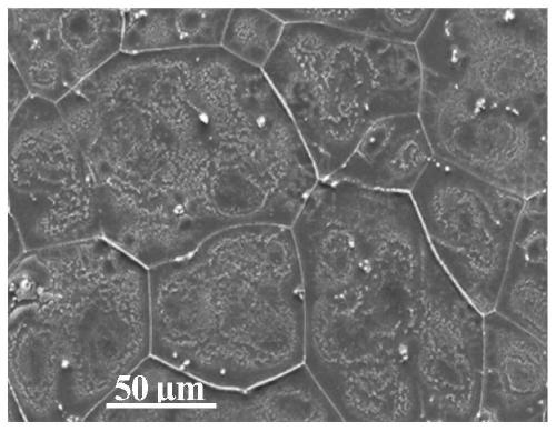 A pretreatment method for homogenizing chromium-free conversion coating on magnesium alloy