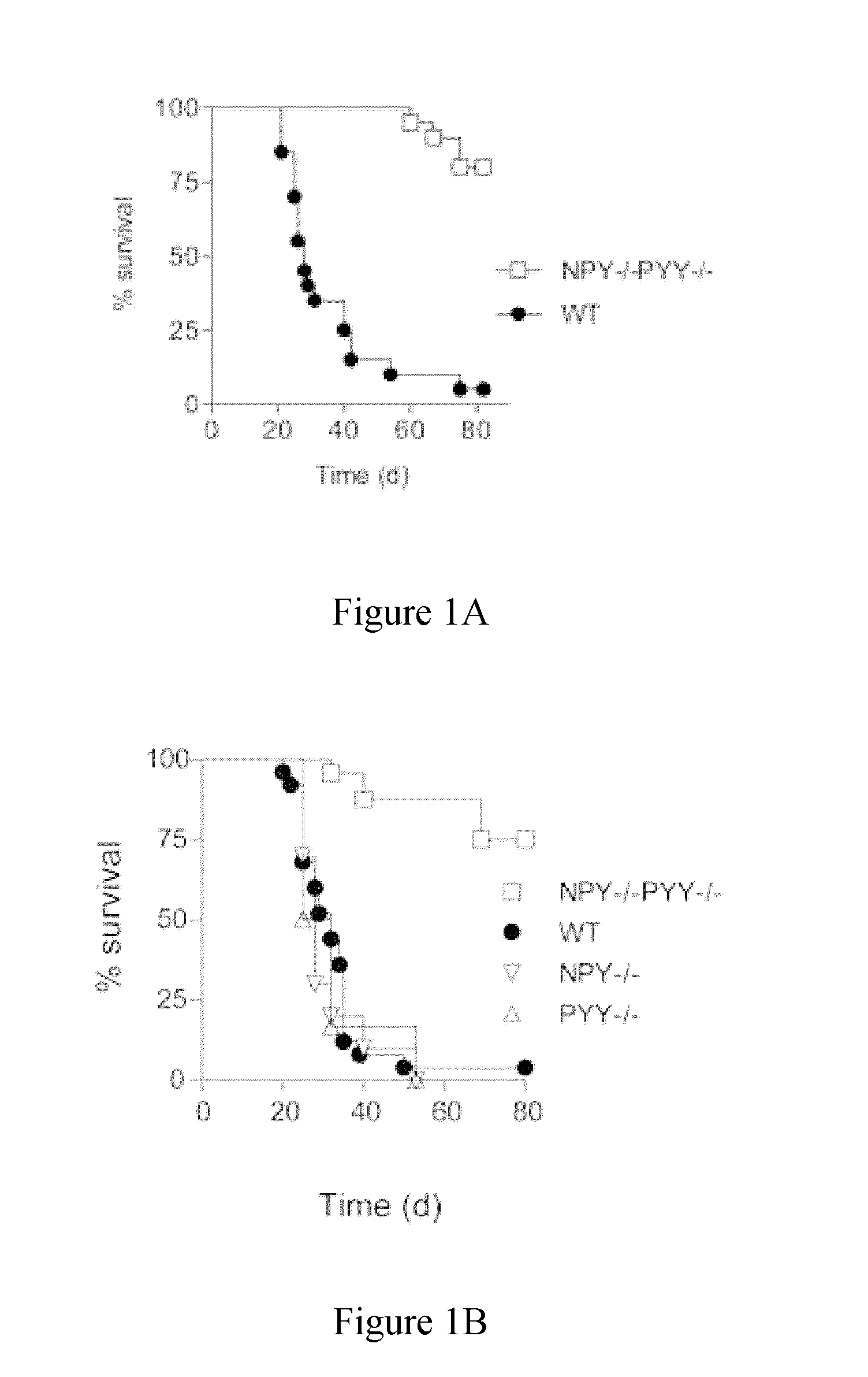 Anti-npy and pyy antibodies and uses thereof
