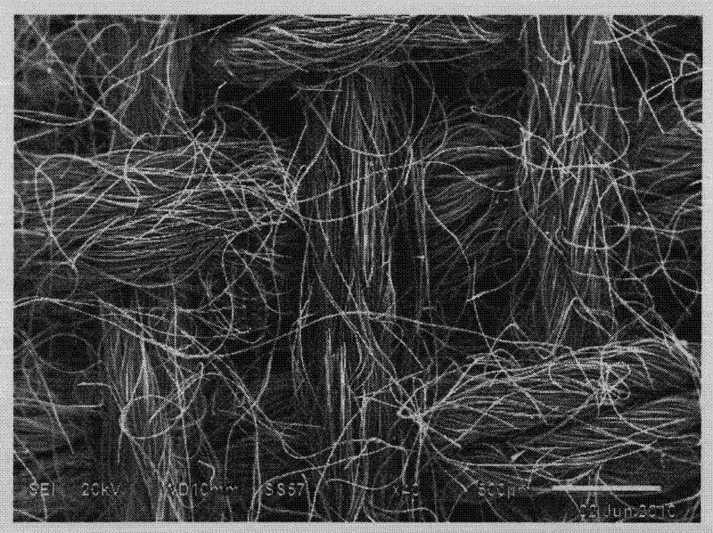 Method for preparing carbon fiber cloth material capable of effectively purifying air