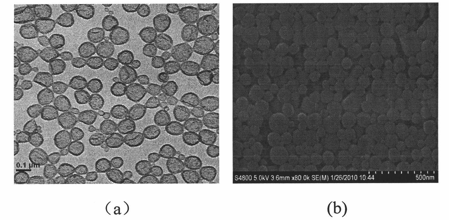 Preparation method of porous antireflection film formed by nanopolymer hollow particles