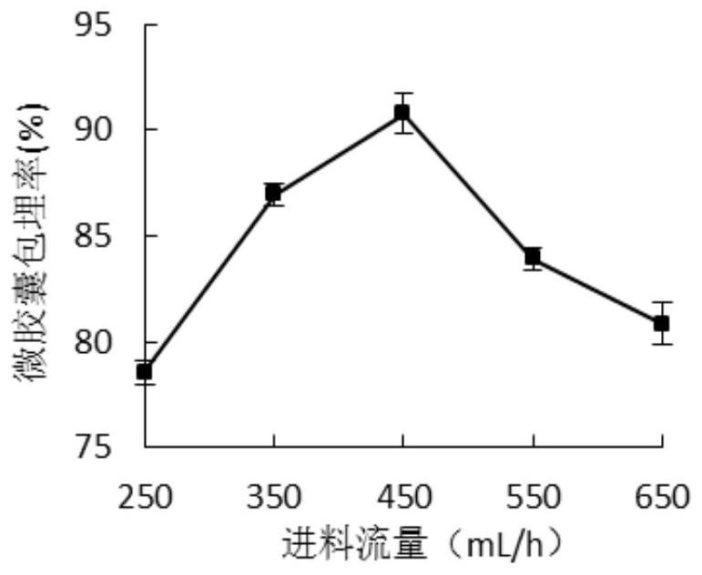 Preparation method of rhododendron pulchrum anthocyanin microcapsules, and product and application of rhododendron pulchrum anthocyanin microcapsules