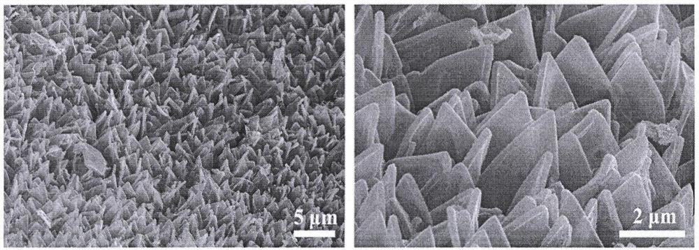 a kind of ceo  <sub>2</sub> Nanoparticle-modified co  <sub>3</sub> the s  <sub>4</sub> Preparation method of nanosheet array