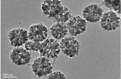 A method for preparing porous magnetic nanocrystal clusters by etching