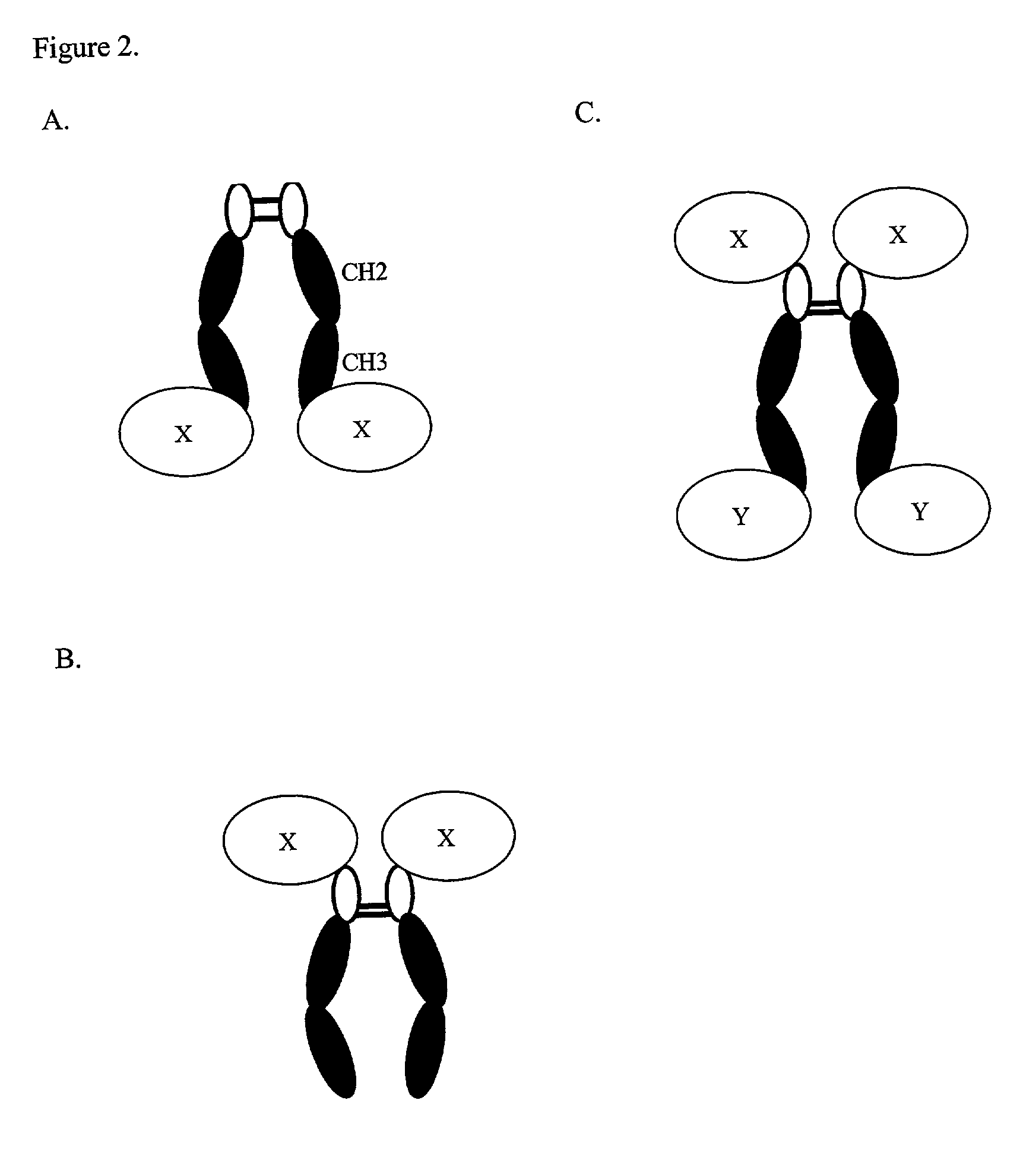 Expression technology for proteins containing a hybrid isotype antibody moiety