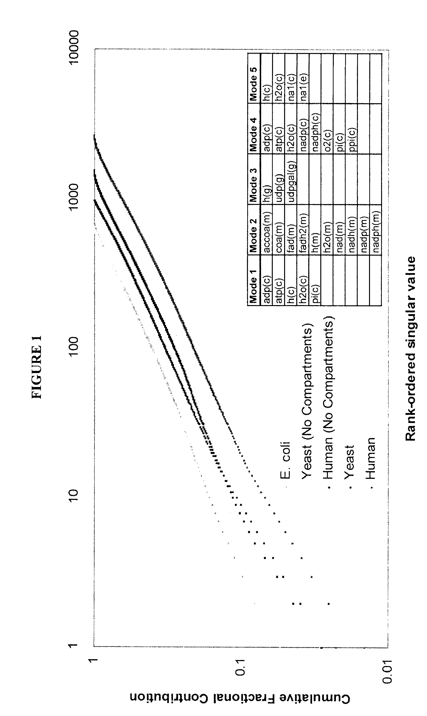 Compositions and methods for modeling human metabolism
