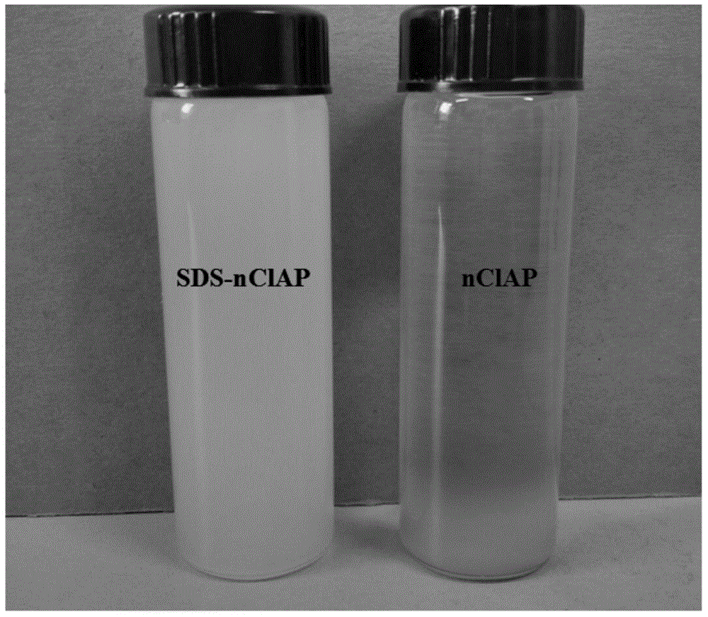 Modified nanometer chlorapatite and preparation method thereof