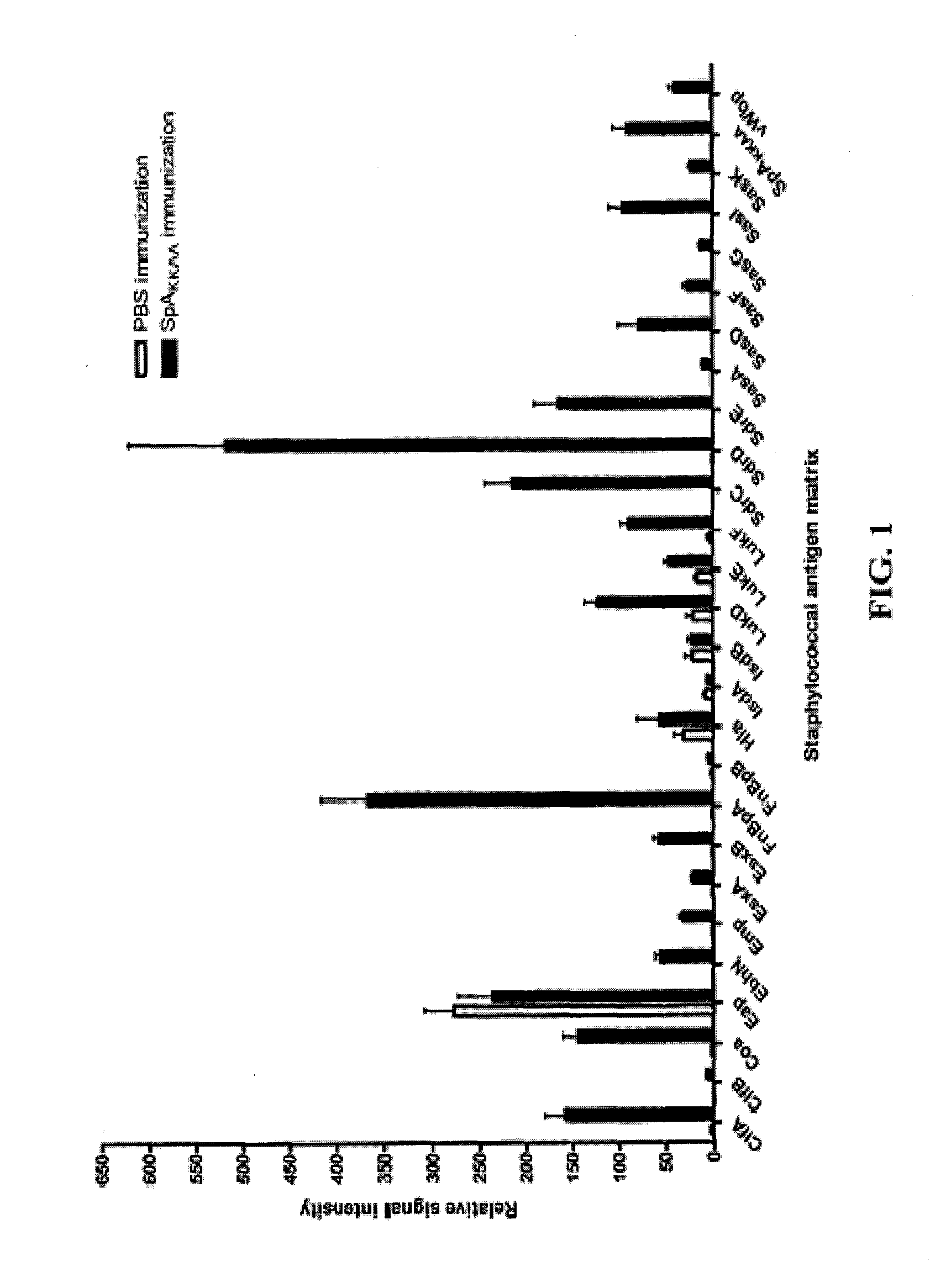 COMPOSITIONS AND METHODS RELATED TO PROTEIN A (SpA) ANTIBODIES AS AN ENHANCER OF IMMUNE RESPONSE