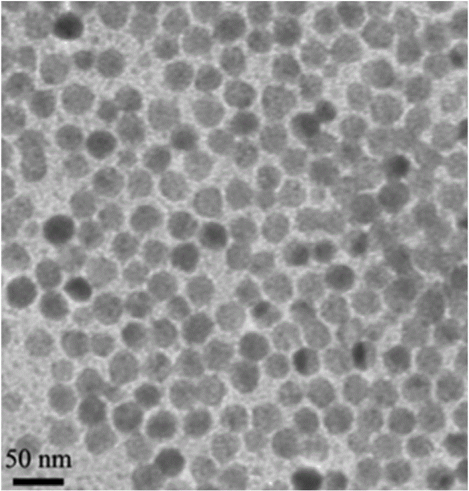 Selenium nano-particles and preparation method thereof