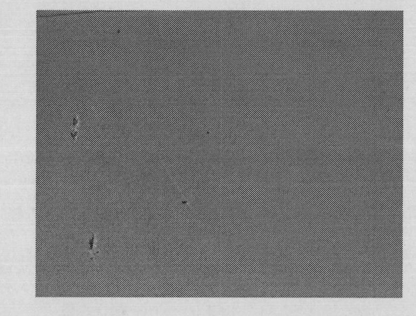 Double-PZT symmetrical integrated large-strain loading device