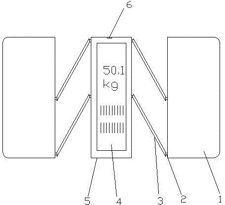 Weight-reducing scale capable of intelligently analyzing body weight