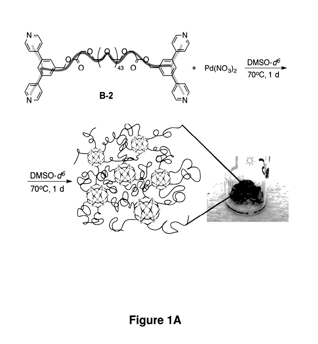 Suprametallogels and uses thereof