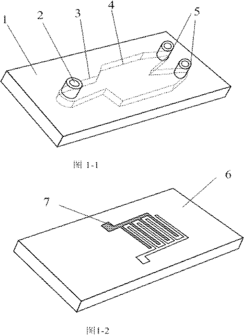 Micro blood cell separation device and method for using same