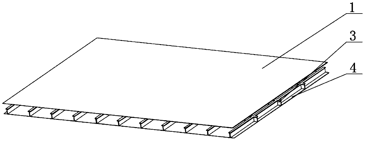 Nonlinear elastic shock absorption bed board