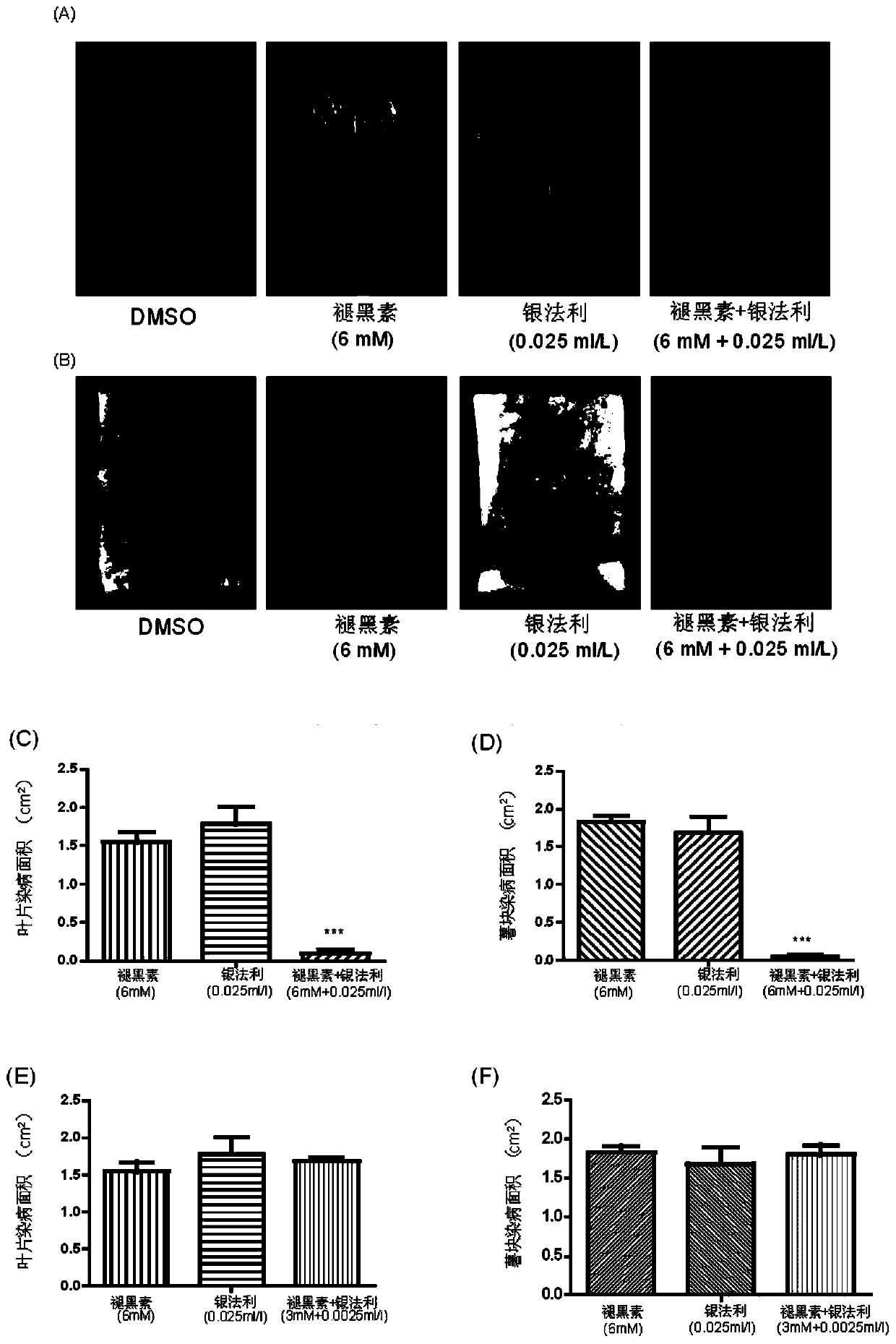 New application of melatonin in inhibiting plant oomycete diseases and new plant oomycete fungicide