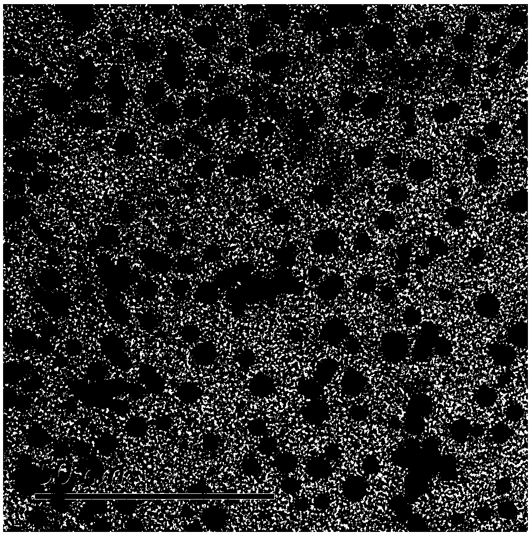 Novel nano gold composite antibacterial agent and preparation method thereof