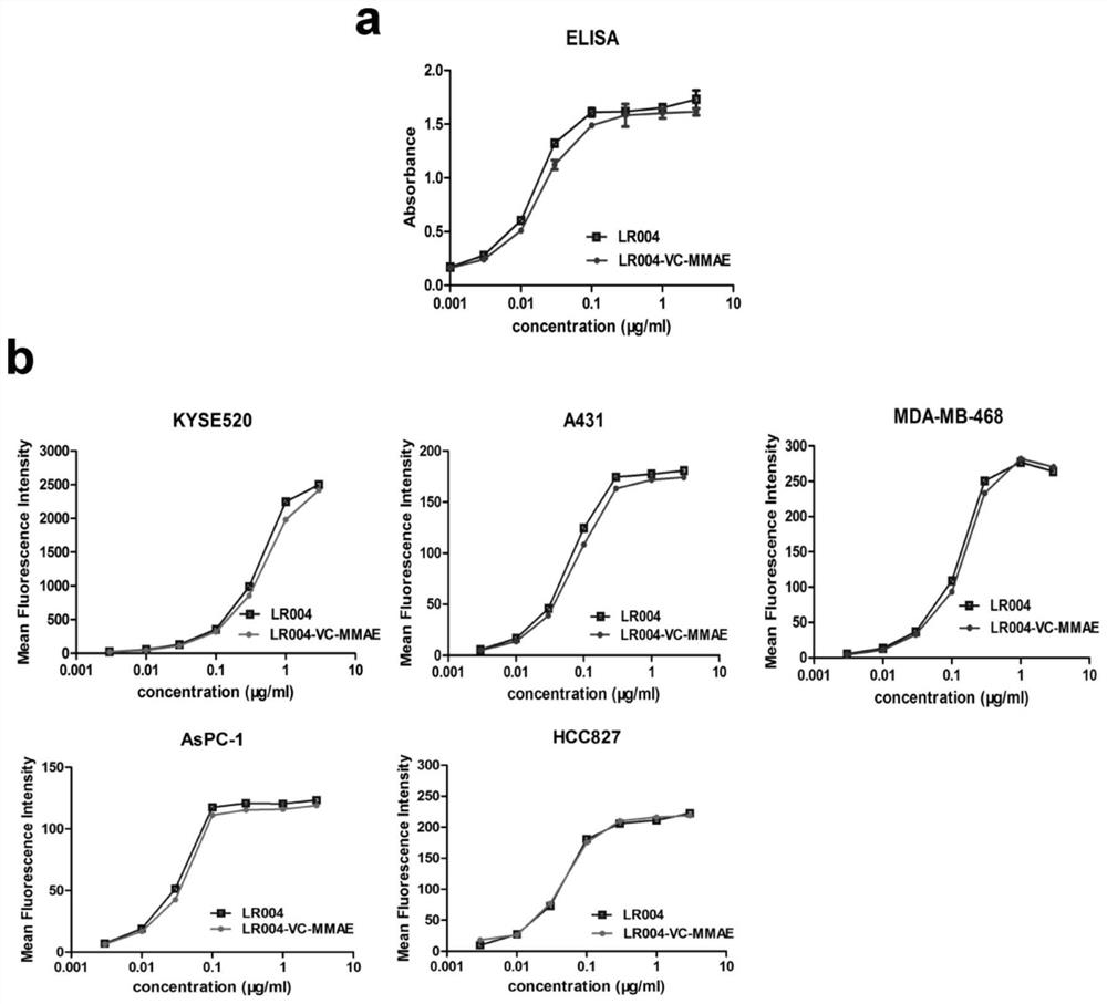 A kind of antibody-conjugated drug targeting EGFR, its preparation method and its application