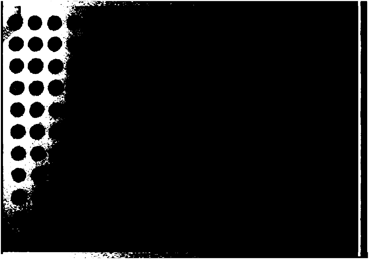 Polypeptide with thrombolytic activity