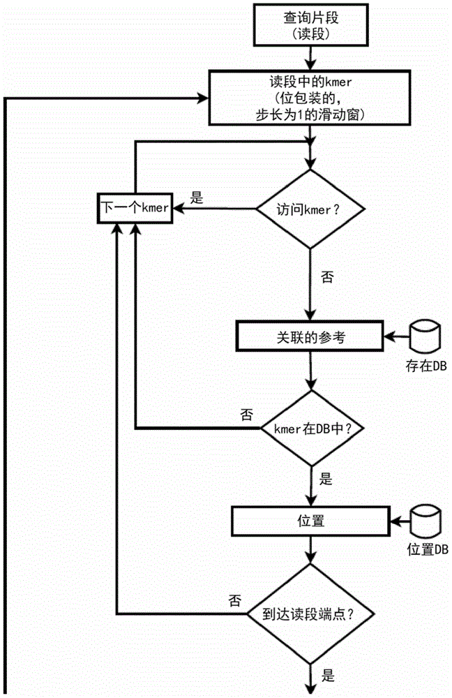 Database-driven primary analysis of raw sequencing data