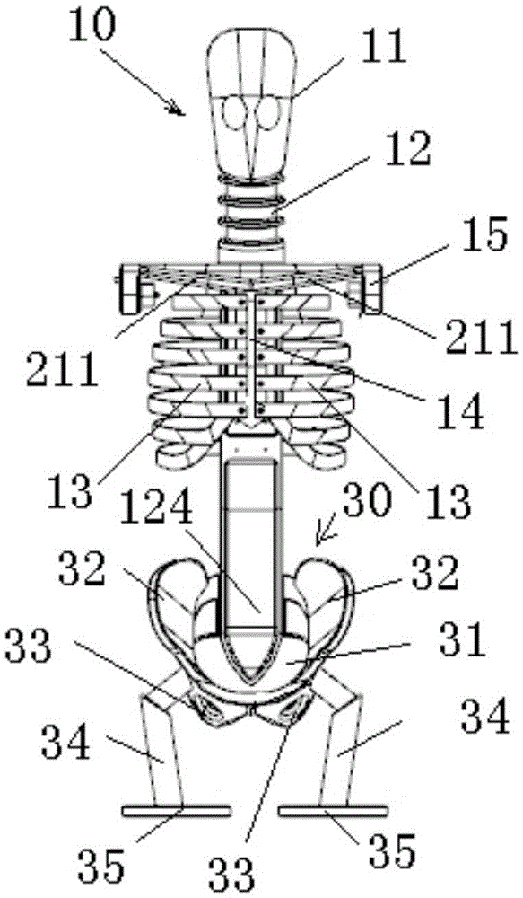 A Dummy for Simulation Trunk Load Test