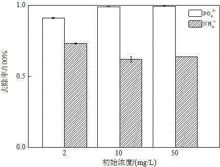 Preparation method and applications of synchronous nitrogen and phosphorus absorption agent