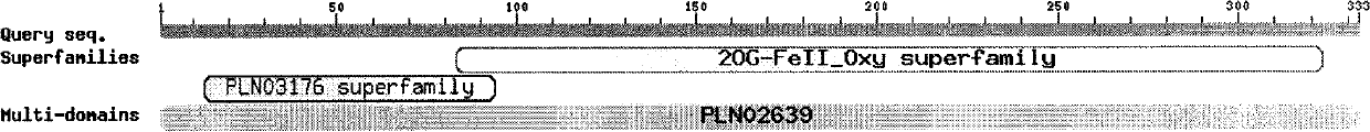 Flavanone-6-hydroxylase (SbF6H) gene in scutellaria baicalensis georgi as well as product coded by same and application of gene