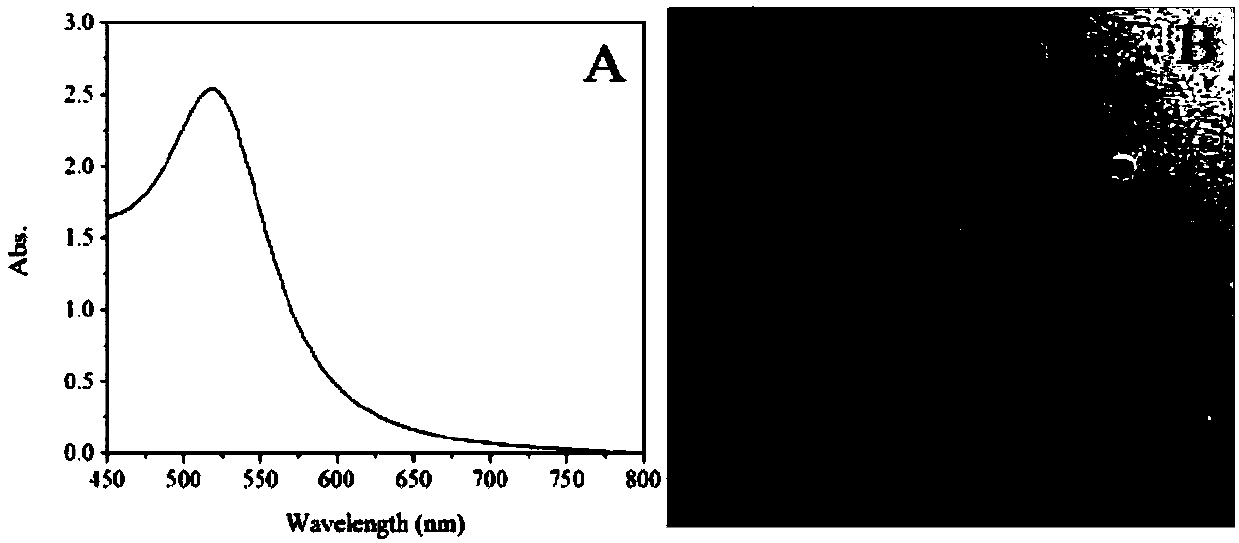 Method for characterizing damage effect of toxin to living cells by SERS spectroscopy