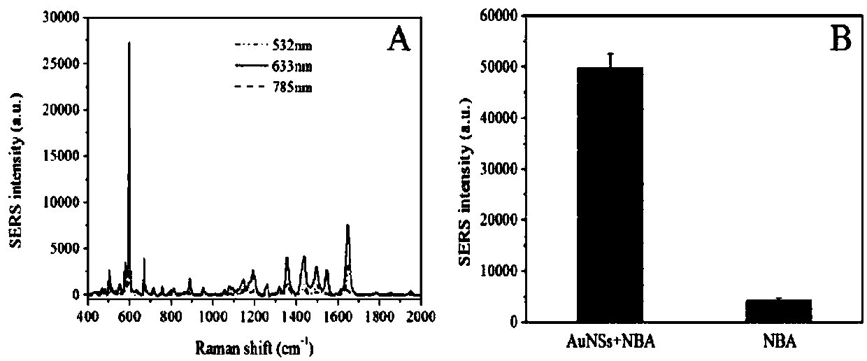 Method for characterizing damage effect of toxin to living cells by SERS spectroscopy