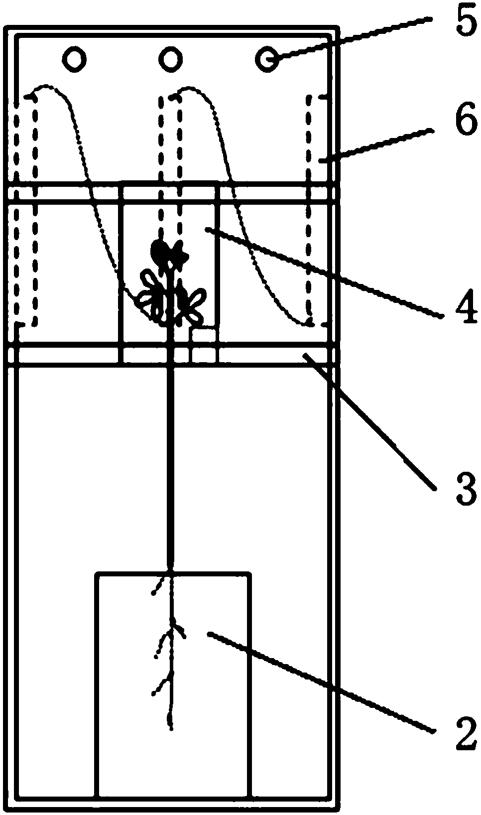 Photosynthetic plant tracing box