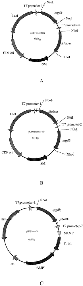 Aldo-keto reductase gene recombinant coexpression vector, engineering bacteria and application thereof