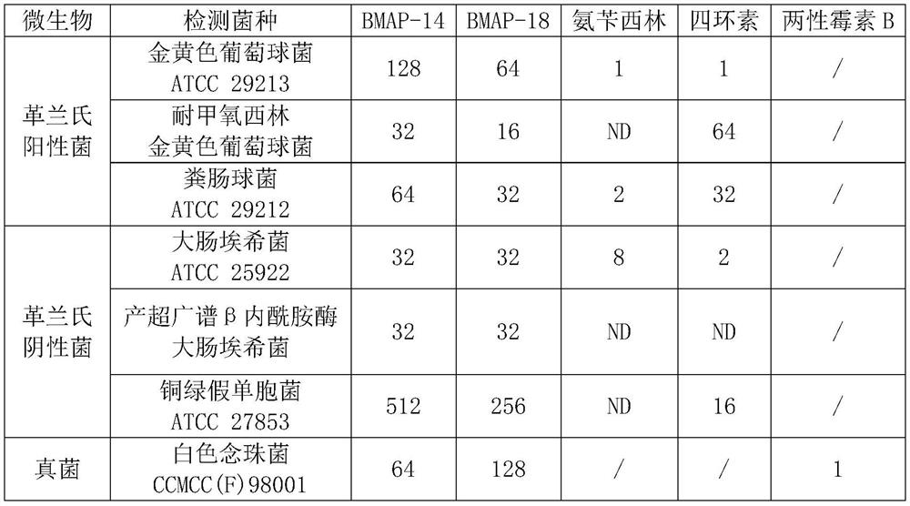 Structurally modified antibacterial peptide BMAP-14 and application thereof