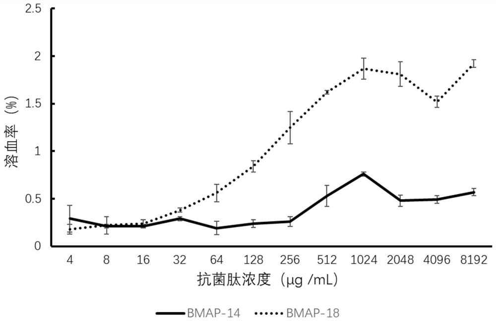 Structurally modified antibacterial peptide BMAP-14 and application thereof