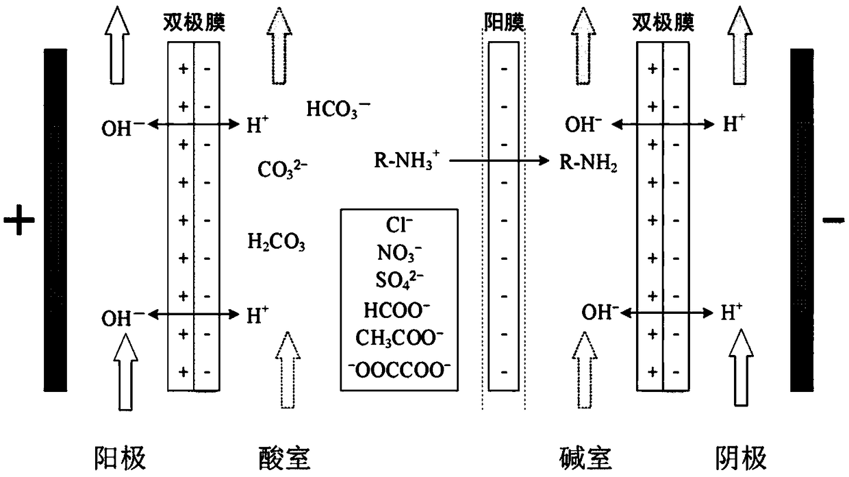 Regeneration system for carbon-rich amine liquid and application thereof