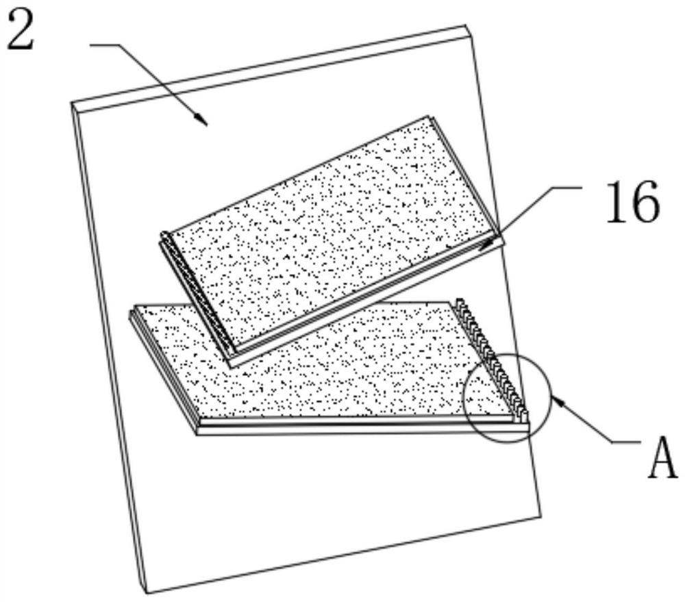 Agricultural cleaning device for skins of potatoes and vegetables