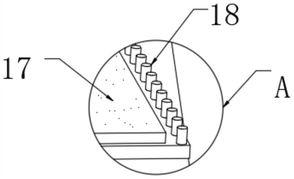 Agricultural cleaning device for skins of potatoes and vegetables