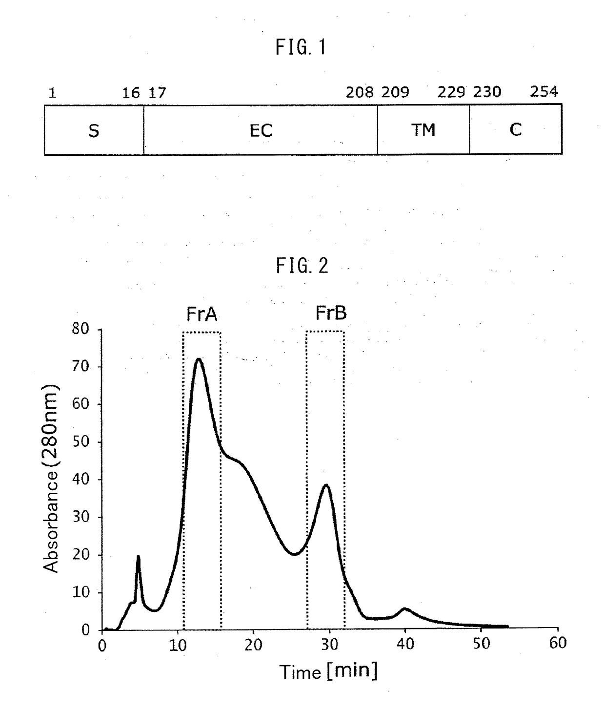 Improved fc-binding protein, method for producing said protein, antibody adsorbent using said protein, and method for separating antibody using said adsorbent